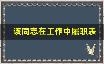 该同志在工作中履职表现