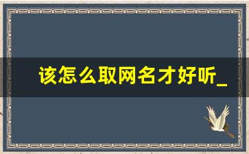 该怎么取网名才好听_100个优秀名字