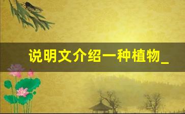 说明文介绍一种植物_说明文介绍一种植物600字作文