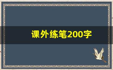 课外练笔200字