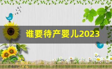 谁要待产婴儿2023_2023年宝宝领养网