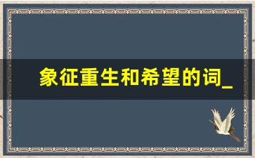 象征重生和希望的词_预示着新的开始和希望的名字