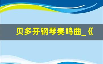 贝多芬钢琴奏鸣曲_《命运交响曲》贝多芬