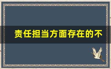 责任担当方面存在的不足_责任担当方面自我剖析