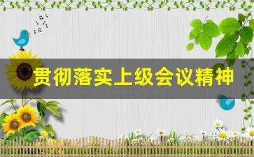 贯彻落实上级会议精神讲话稿_上级会议精神的传达贯彻落实问题