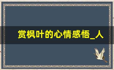 赏枫叶的心情感悟_人与枫叶的赞美