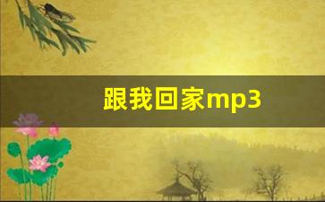 跟我回家mp3