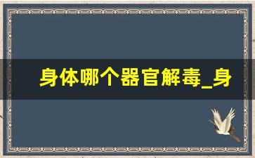 身体哪个器官解毒_身体解毒器官