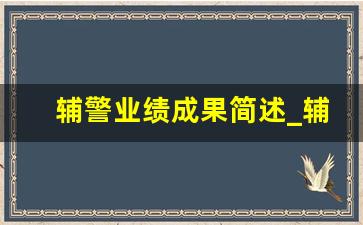 辅警业绩成果简述_辅警万能通用心得体会