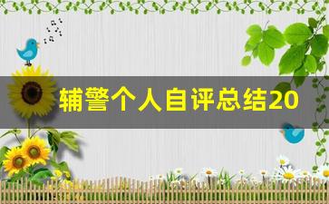 辅警个人自评总结200字_辅警首次评定个人总结