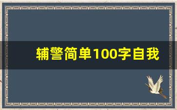 辅警简单100字自我评价_辅警个人年终工作总结500字