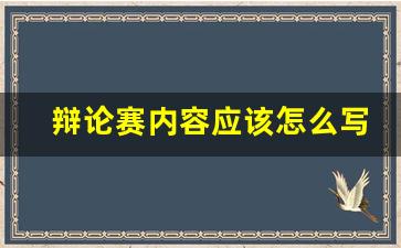 辩论赛内容应该怎么写