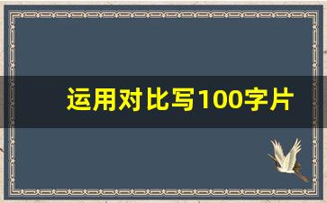 运用对比写100字片段_选择两种事物作对比