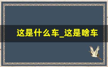 这是什么车_这是啥车不认识标志