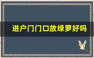 进户门门口放绿萝好吗_进门口摆放绿萝好吗