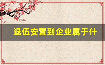 退伍安置到企业属于什么编制_退伍士兵安排工作是事业编吗