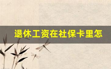 退休工资在社保卡里怎样查询余额