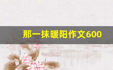 那一抹暖阳作文600字_冬日暖阳观后感600字