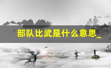 部队比武是什么意思_全军比武大赛内容