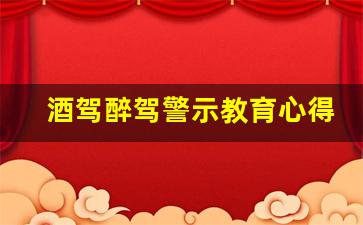 酒驾醉驾警示教育心得