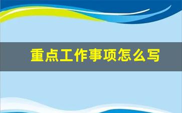 重点工作事项怎么写