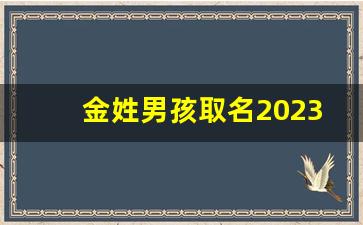 金姓男孩取名2023_姓金的古风唯美名字