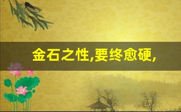 金石之性,要终愈硬,性可改耶的意思_人天地之性最贵者也的意思是什么