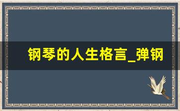 钢琴的人生格言_弹钢琴文案高级