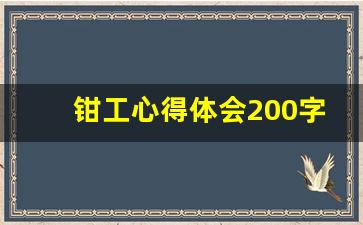 钳工心得体会200字小结_装配钳工实训总结200字