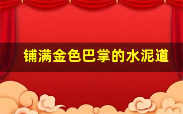 铺满金色巴掌的水泥道印记_三年级课文水泥道美在哪里