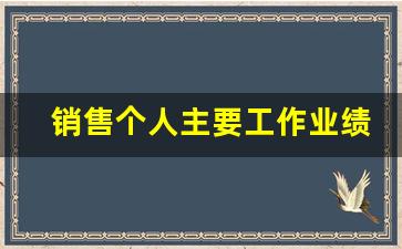 销售个人主要工作业绩_怎样写个人业绩描述