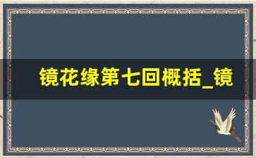 镜花缘第七回概括_镜花缘第十一回概括