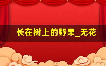 长在树上的野果_无花果的食用方法