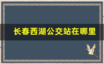 长春西湖公交站在哪里_长春西湖公园位置