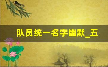 队员统一名字幽默_五人昵称小清新简短