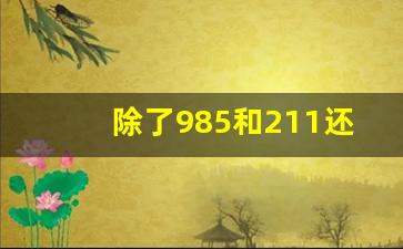 除了985和211还有什么_除985外211大学排名