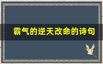 霸气的逆天改命的诗句