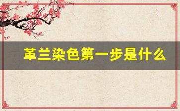 革兰染色第一步是什么_革兰氏染色法的注意事项