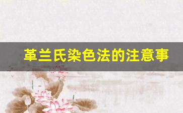 革兰氏染色法的注意事项_革兰氏染色的总结与体会