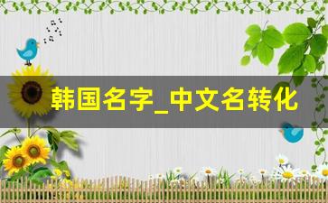 韩国名字_中文名转化成韩文名