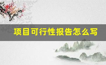 项目可行性报告怎么写_简单项目可行性报告