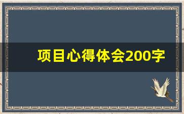 项目心得体会200字