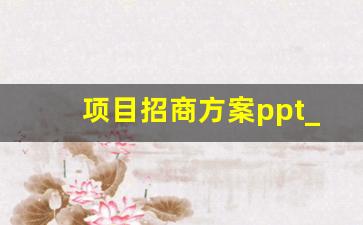 项目招商方案ppt_招商宣传ppt教程