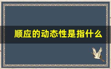 顺应的动态性是指什么