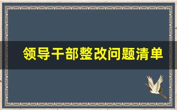 领导干部整改问题清单_树立正确政绩观整改清单