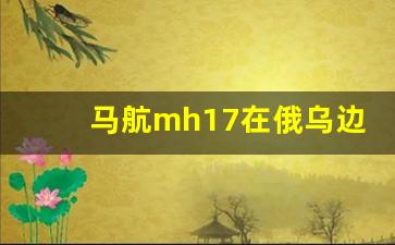 马航mh17在俄乌边境坠毁_马航客机被击落事件