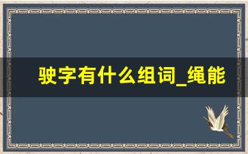 驶字有什么组词_绳能组什么词语