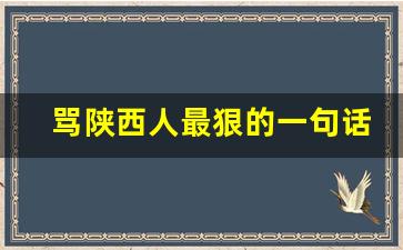 骂陕西人最狠的一句话