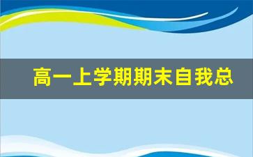 高一上学期期末自我总结