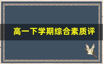 高一下学期综合素质评价范文